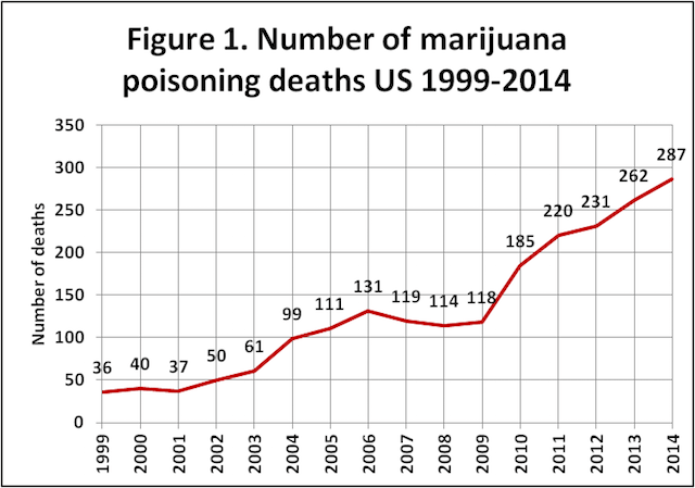 Fatal Marijuana Overdose Is Not A Myth Drug Rehab Options